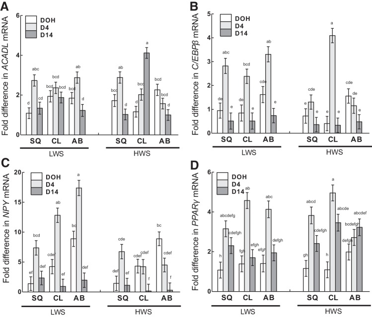 Fig. 13.