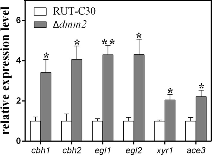 Fig. 8