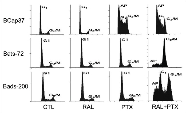 Figure 2.