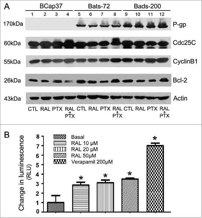 Figure 4.