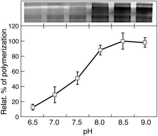 Figure 7.