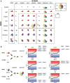 Flower charts of as circular plots plot each of the six measured Fc effector functions. For different Fc variant combinations of Fab clones RI10953 and RI808 an individual flower plot is depicted. Flow chart plotting how expected Fc functions are derived from different combinations of Fc variants. Line graph plotting the Z-Score difference of different heterologous mAbs combinations.