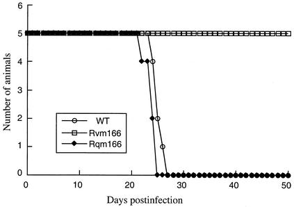 FIG. 5.