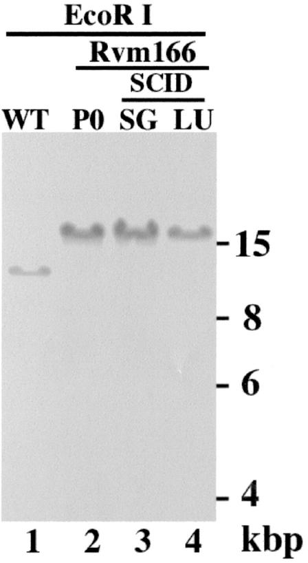 FIG. 7.