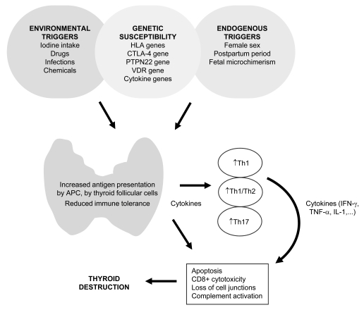 Fig. (1)