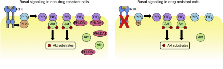 Figure 7