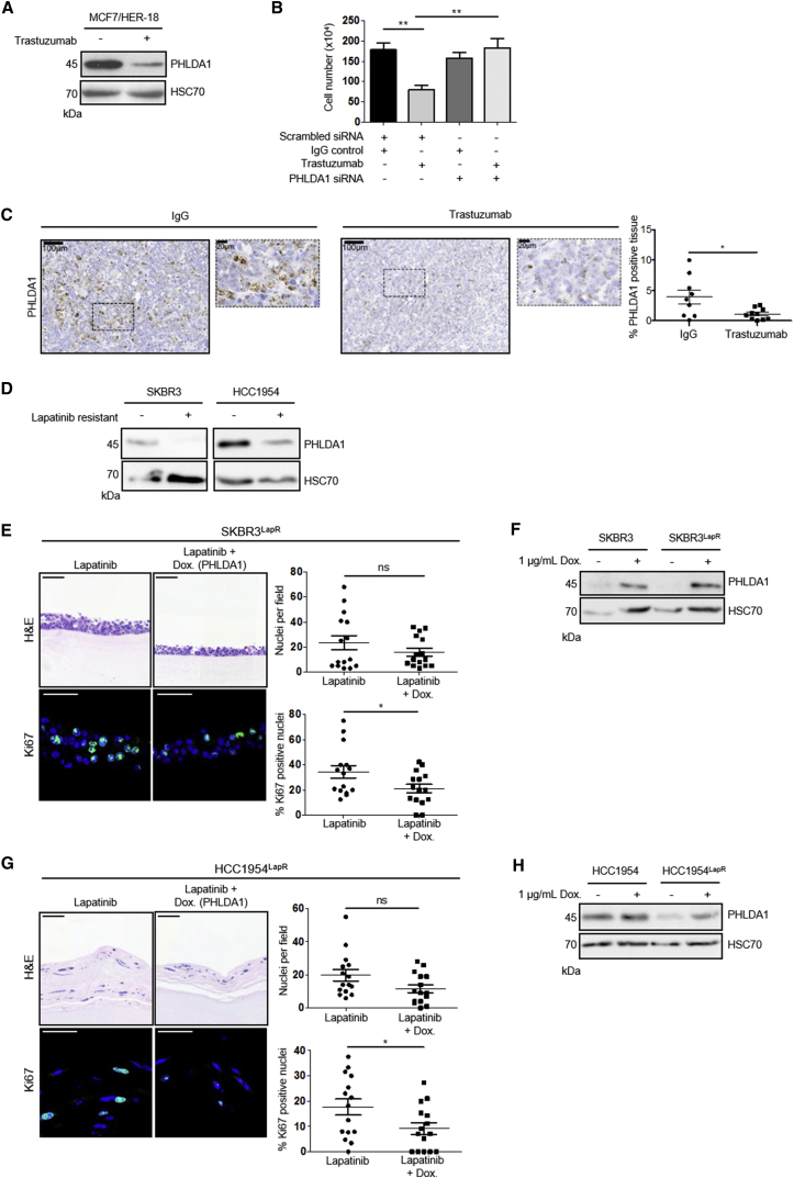 Figure 6