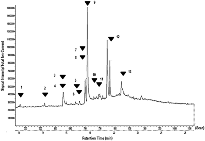 Fig. 1