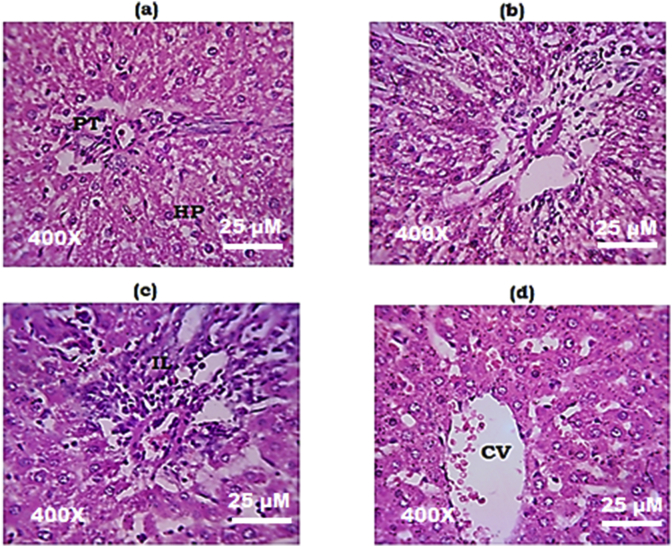 Fig. 4