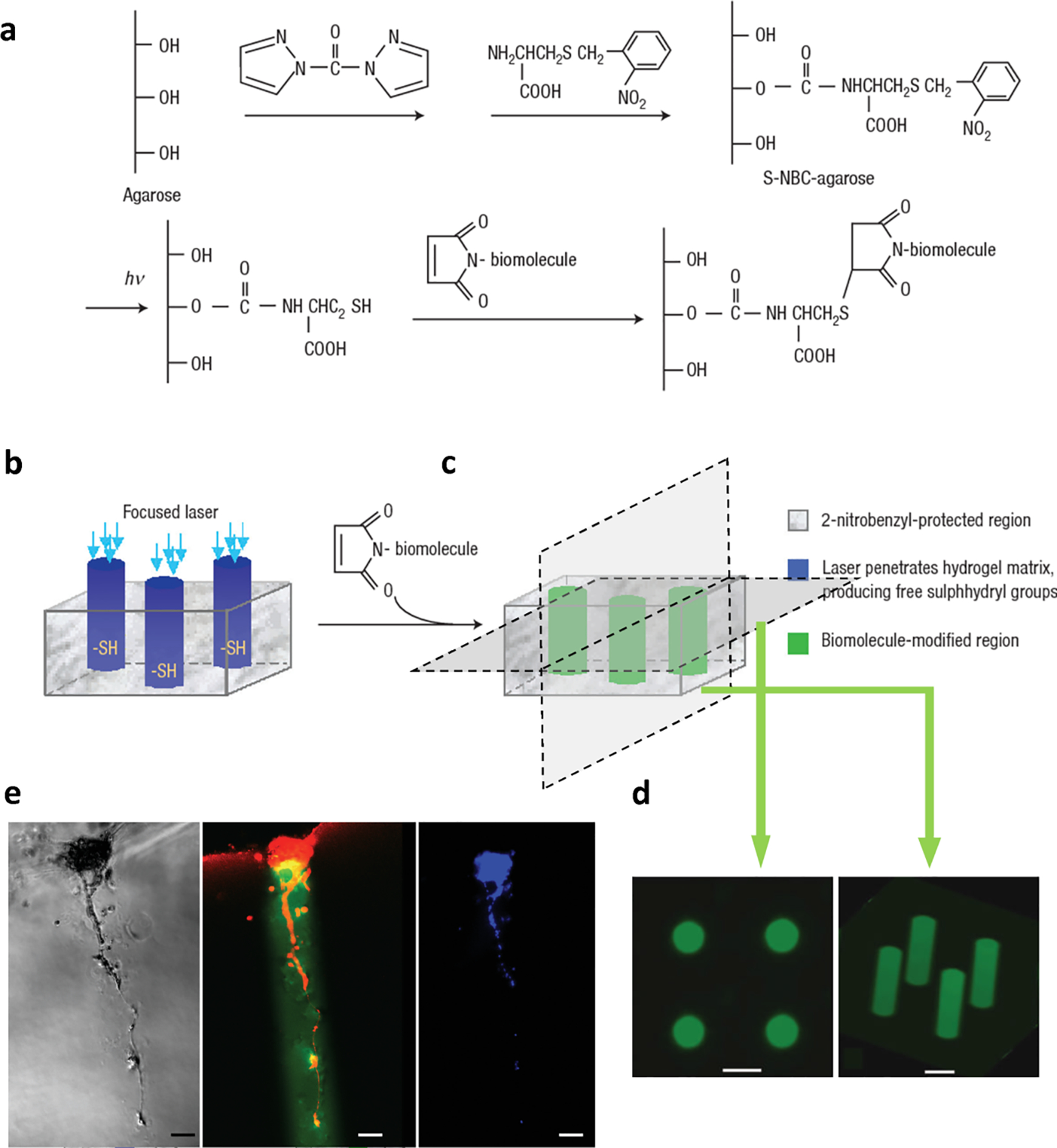 Figure 11.