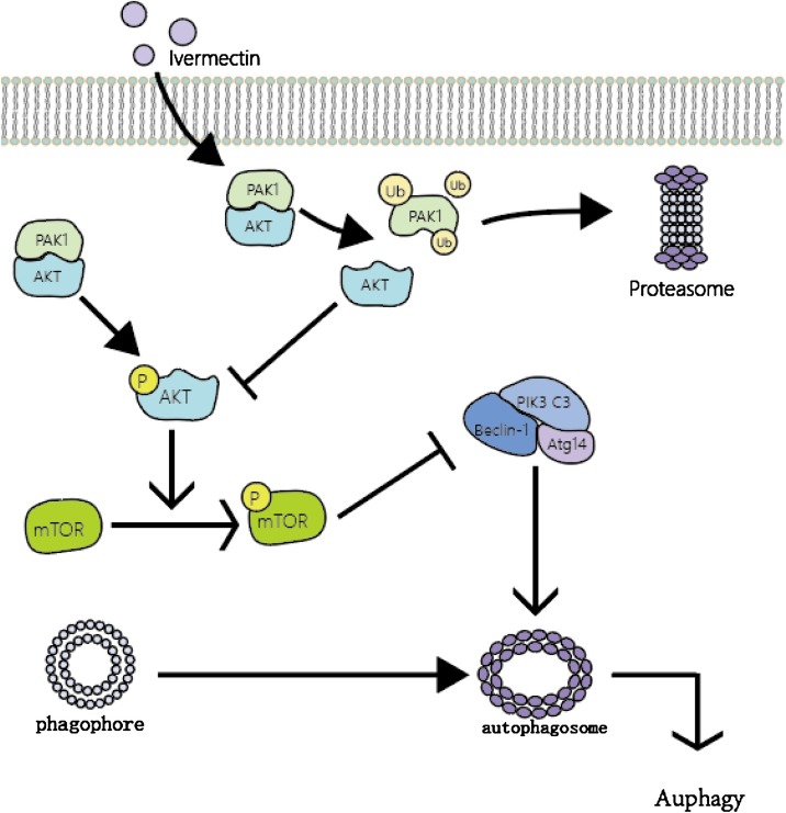 Fig. 3