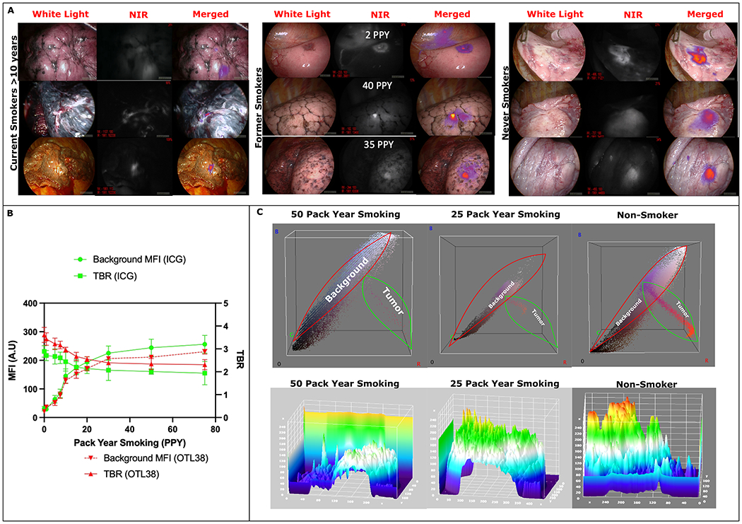 Figure 2: