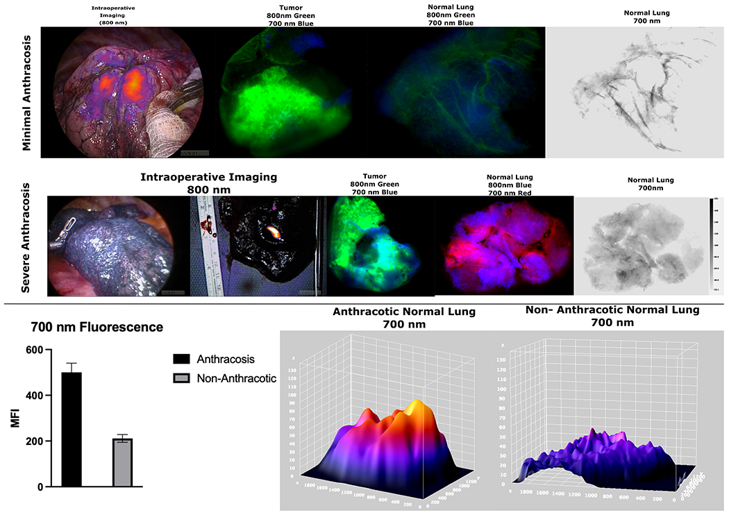 Figure 6: