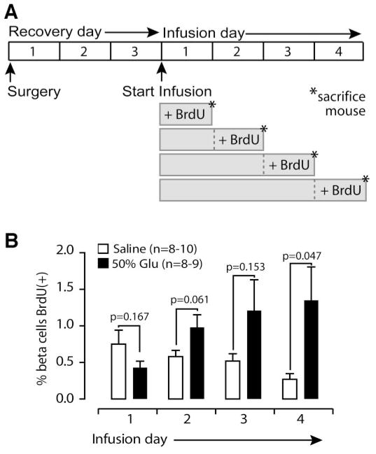 FIG. 6