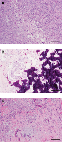 Figure 1 -