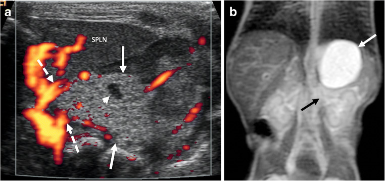 Fig. 8