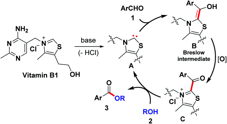 Scheme 3
