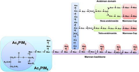 Fig. 2