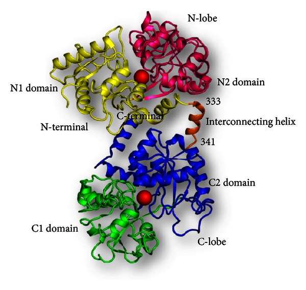 Figure 1