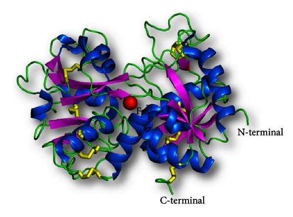 Figure 4