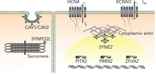 Figure 1: