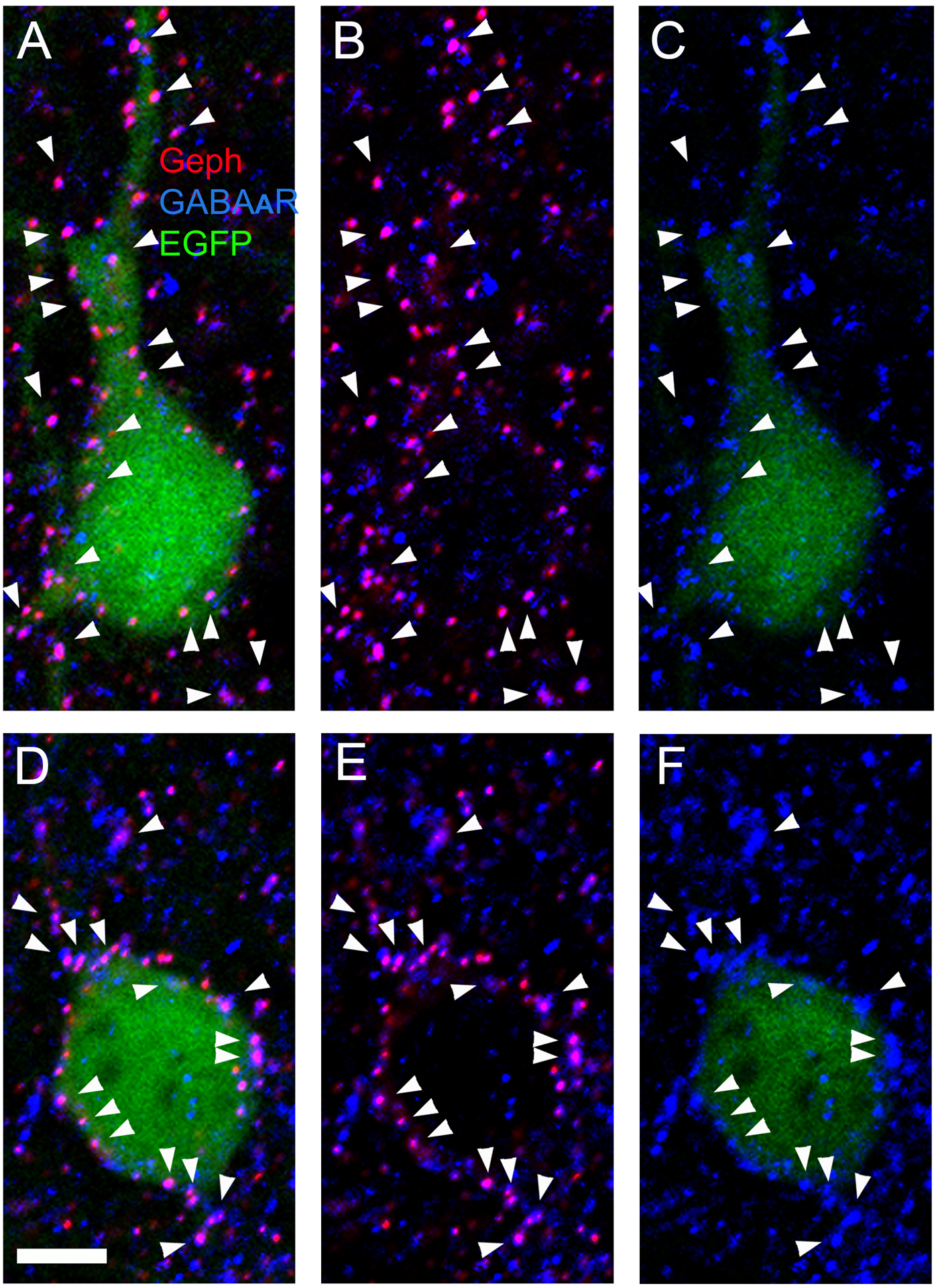 Figure 6.