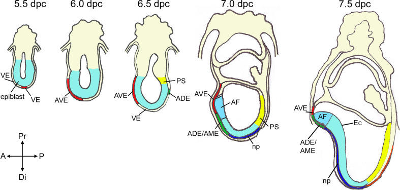 Fig. 2