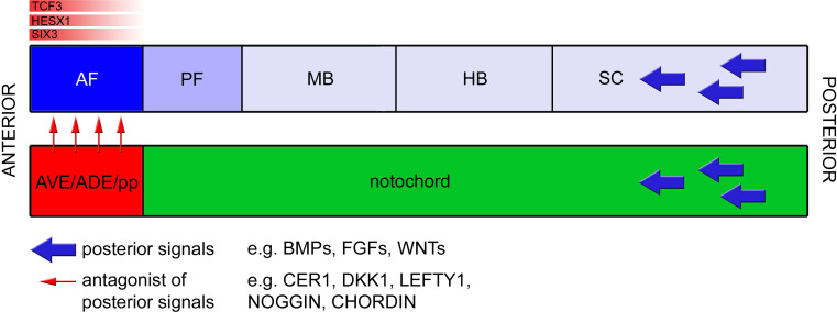 Fig. 4