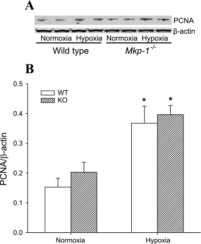 Fig. 9.