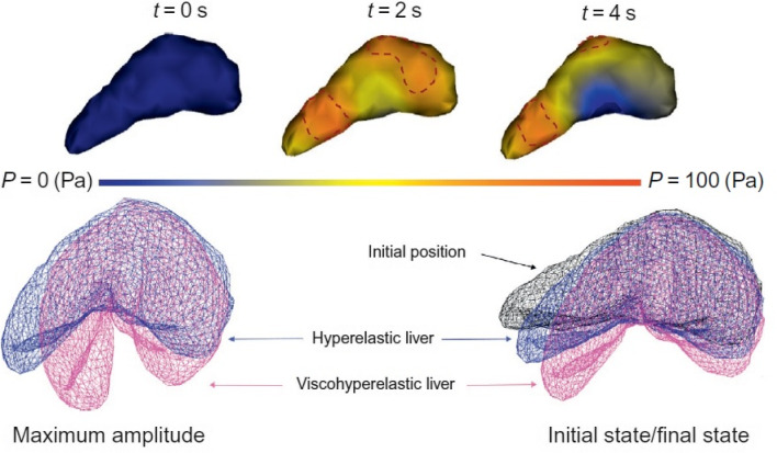 Fig. 12