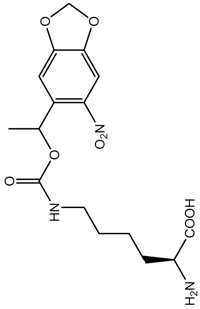 graphic file with name pwad051_iffig1.jpg