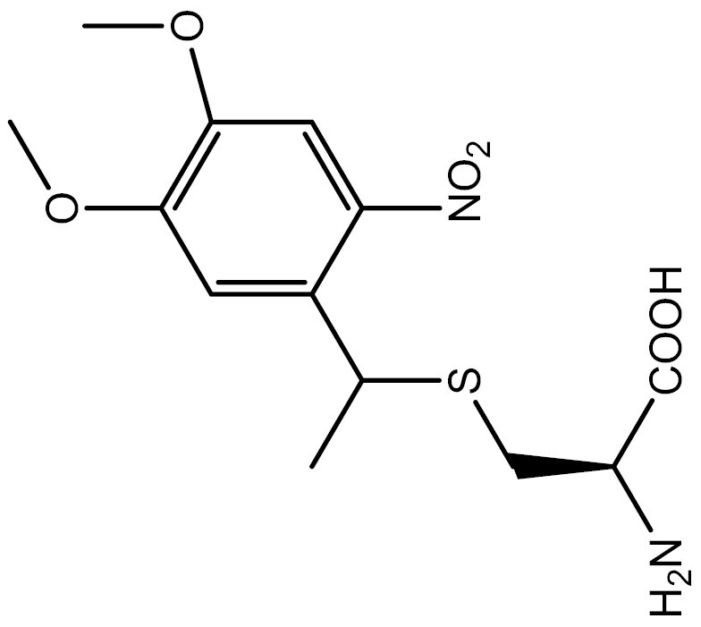 graphic file with name pwad051_iffig11.jpg