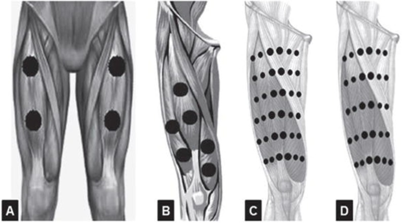 FIG. 2.