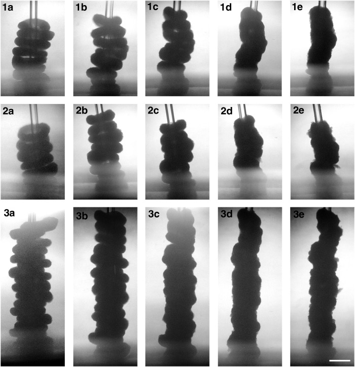 FIG. 5.