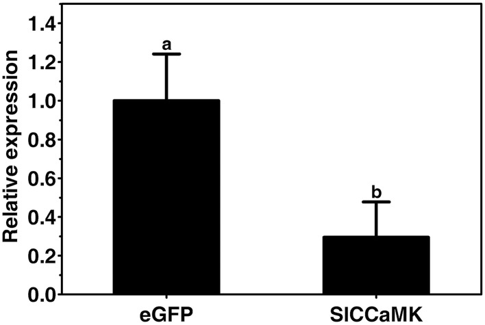 Figure 7