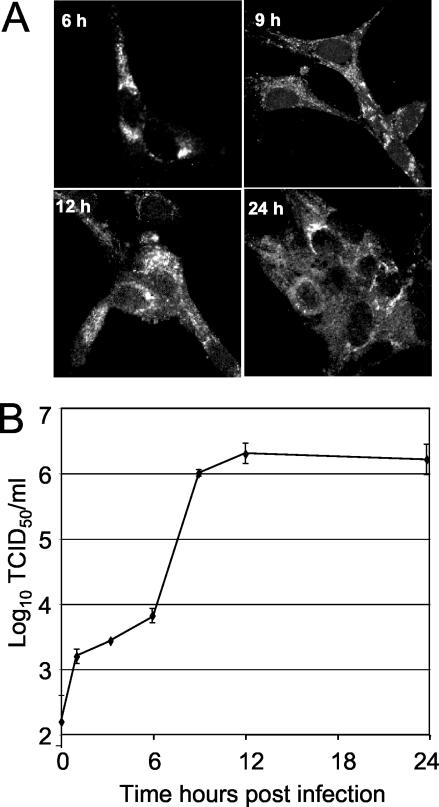 FIG. 4.