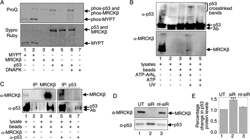 Figure 3: