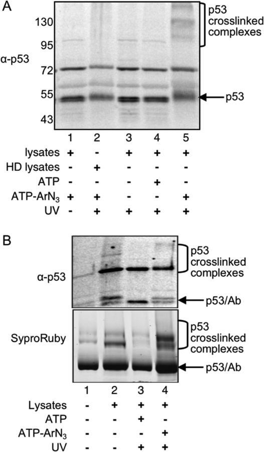 Figure 2: