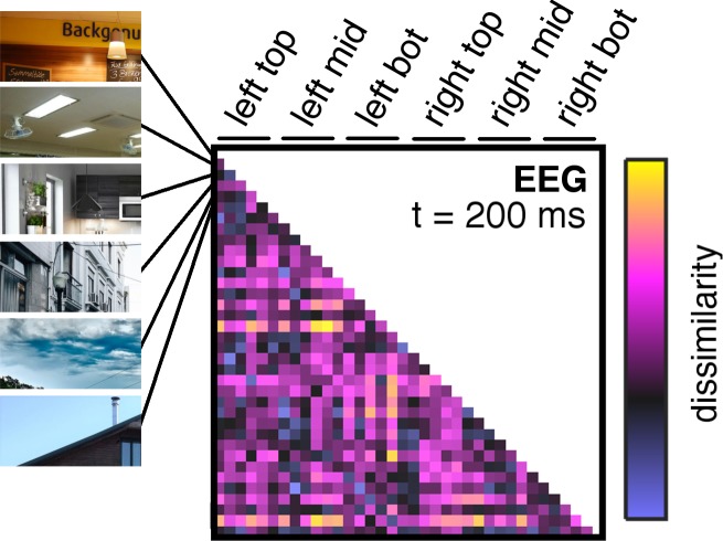 Figure 2—figure supplement 1.