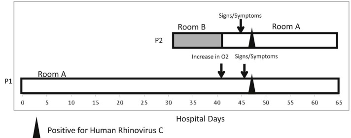 Fig 1