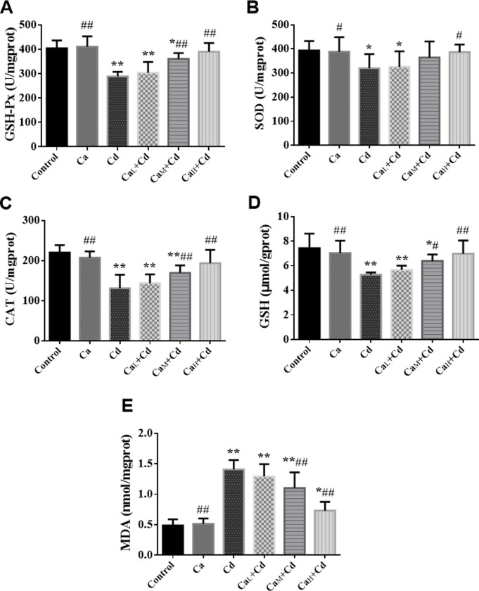 Fig 4