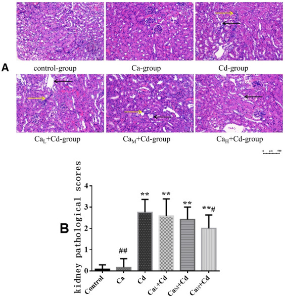 Fig 6