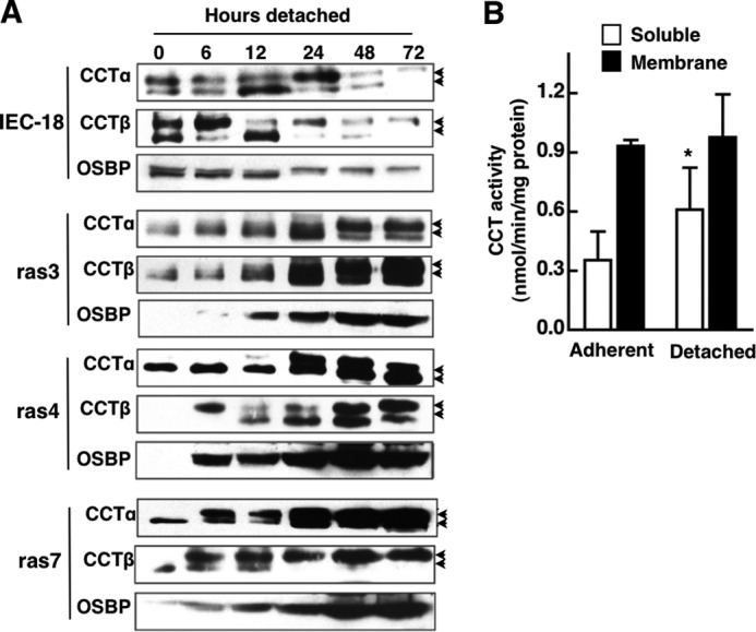 FIGURE 10.