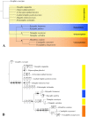 Fig 7