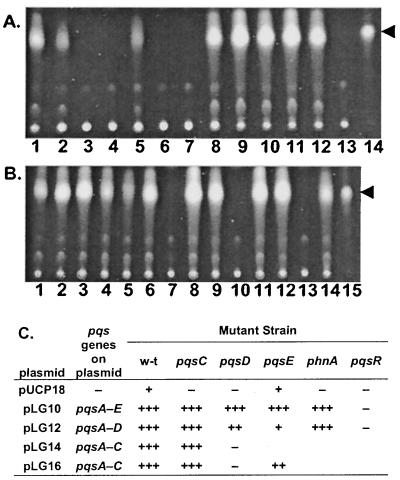 FIG. 3.