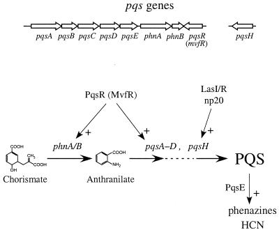 FIG. 4.