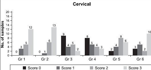 Graph 2