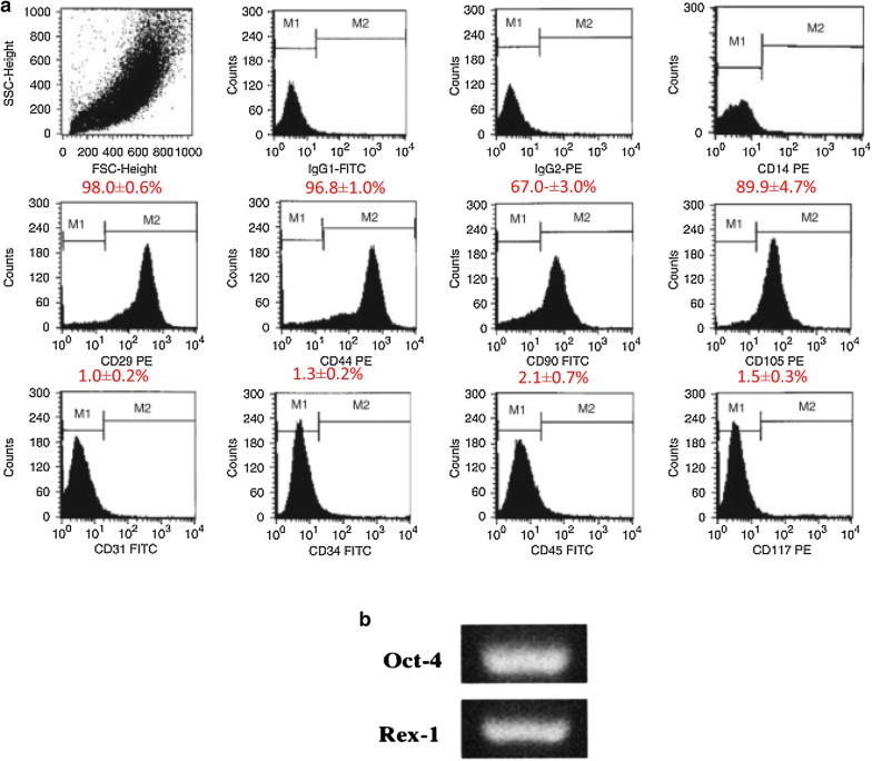 Fig. 4