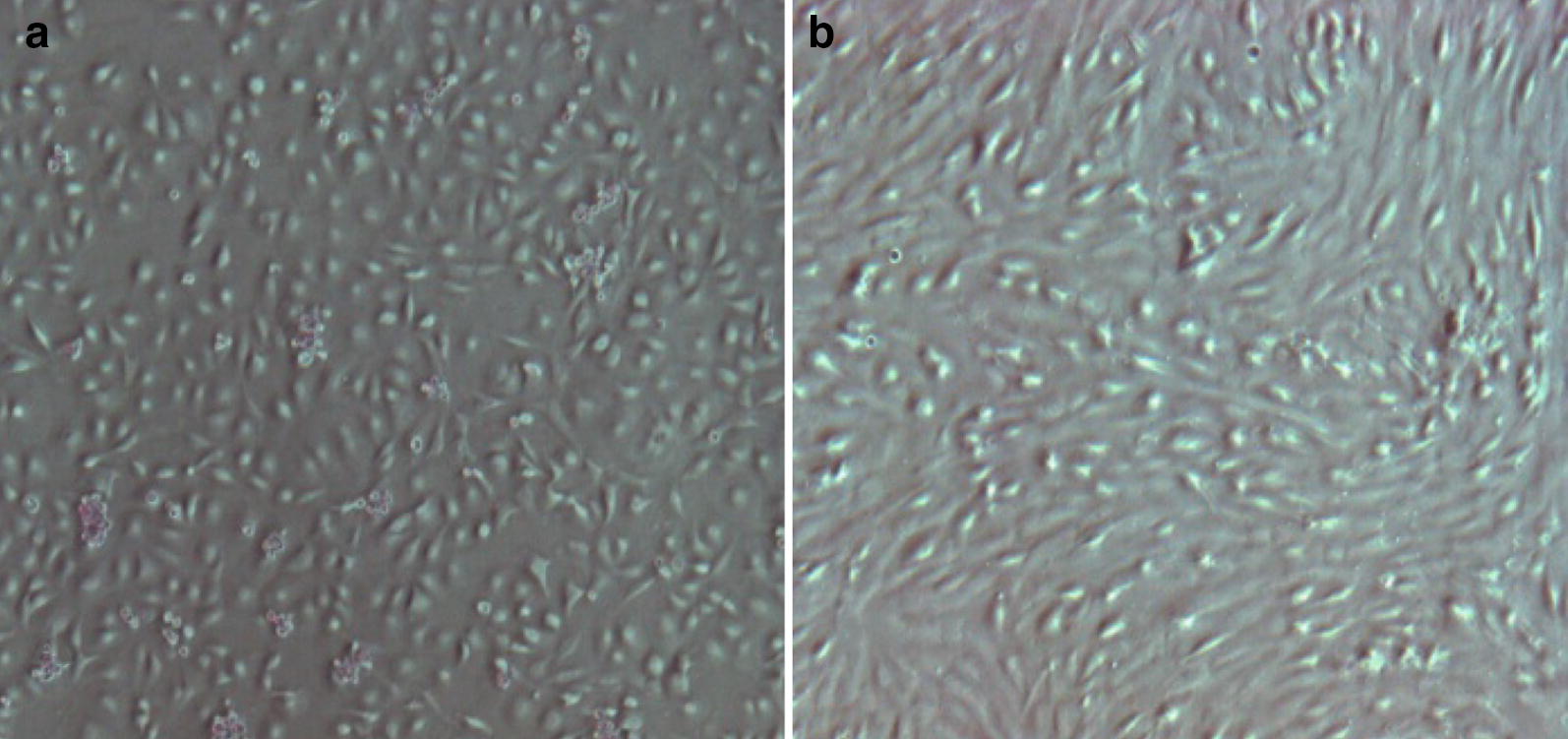 Fig. 5