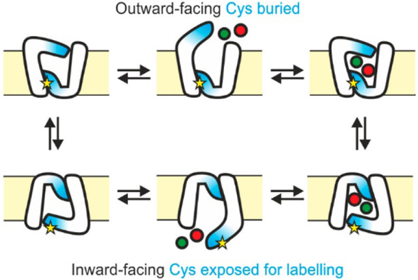 Figure 10.